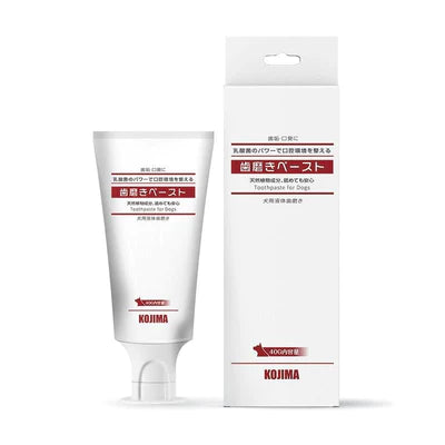 KOJIMA Lactic Acid Bacteria Toothpaste 40g