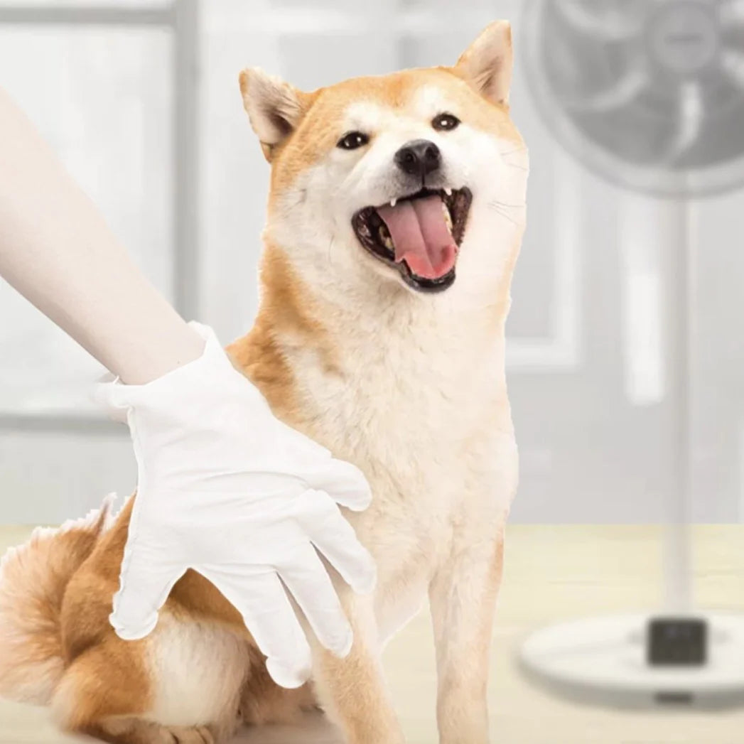 KOJIMA Pet Cleaning Glove Bath Glove For Cat & Dog 6pcs