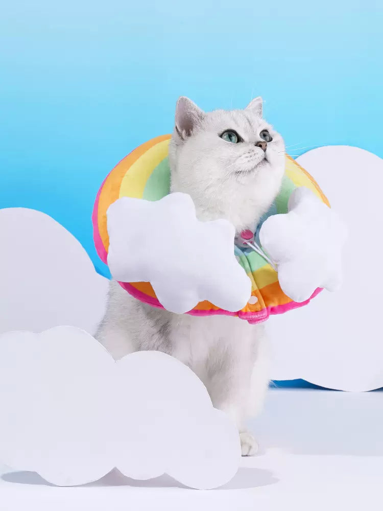 Rainbow Cone E-Cone