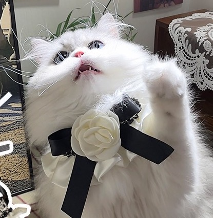 Flower Cat Bandana Collar