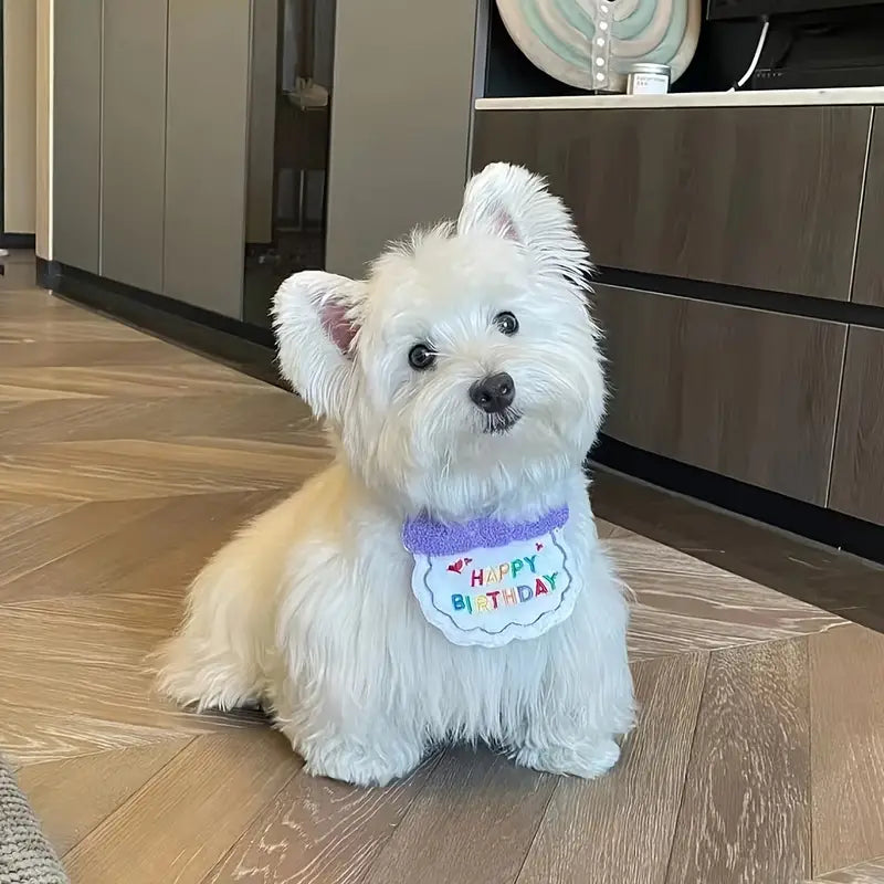 Birthday Set