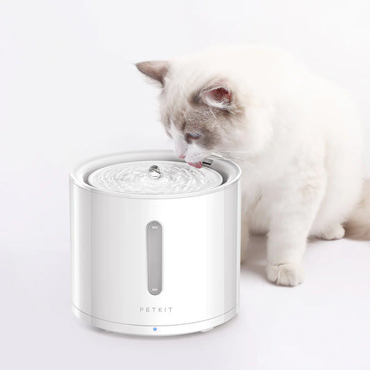 Eversweet 2 Smart PetDrinking Fountain